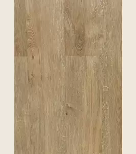 Beech<span>200 005</span>