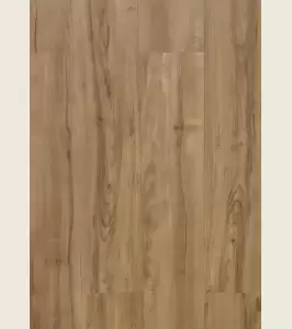 Spruce<span>150 006</span>